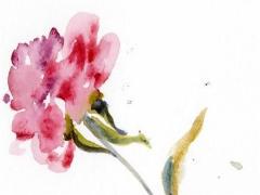 2025年5月最佳探病吉日測算合適哪日