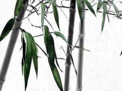 八字好不好主要看什么區別 八字好一定好嗎