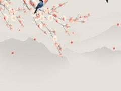 本命年屬兔帶什么手鏈好,本命年屬兔帶什么手鏈好一點