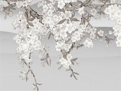 屬兔本命年能戴南紅嗎好嗎女,屬兔可以戴南紅嗎