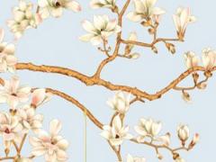 本人命理八字五行喜木什么意思 八字喜木是什么命