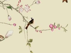 寶寶八字旺什么意思 八字旺是什么意思什么叫八字