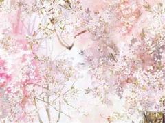 2025年農歷五月適宜動土吉日查詢 哪天好