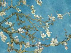 2025年農歷5月黃道吉日查詢 哪日適合開業和入宅