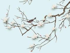 生辰八字不合的夫妻怎么辦 生辰八字不合有辦法化解嗎