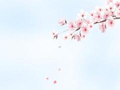 2025年五月十二吉日測算 哪天適宜