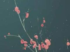 2025年五月搬家最佳時機查詢 適宜搬家的日子