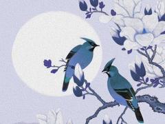 屬兔本命年可以戴金兔嗎,屬兔的本命年可以穿紅色嗎