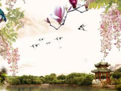 2025年五月適合提親的吉日 哪日吉利