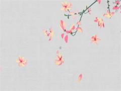 女虎本命年可以結婚嗎,女虎本命年要佩戴什么