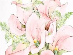 2025年5月最吉利結婚日 哪日最適宜