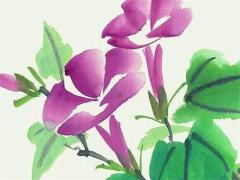 土兔本命年適合帶什么生肖,土兔人適合佩戴什么