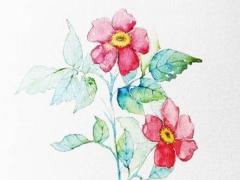 2025年五月最佳開業日測算與分析