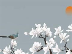 2025年適合2025年農歷五月最吉利日測算 哪日適合拜訪親友