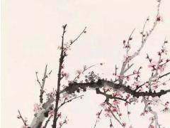 泰國算命看八字嗎 泰國算命準到驚人的經歷