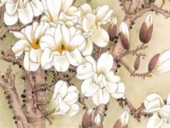 文殊菩薩吊墜本命年兔背面能戴嗎,文殊菩薩屬兔本命佛