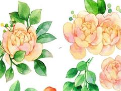 2025年五月購車最佳吉日推薦