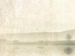 2025年五月安葬日子查詢 適合的吉利日