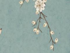 腳只能呈外八字下蹲是什么原因 腳有點外八字怎么糾正