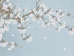 昆明算八字準的人 昆明哪里的算命先生