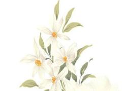 2025年五月開業吉日測算 哪日最吉利