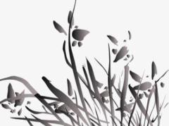 本命年戴黑曜石能帶來好處嗎,本命年戴黑曜石還是朱砂