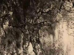 命運四柱八字算命 四柱八字論命運