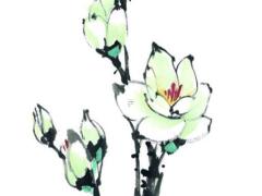 2014年屬馬人的全年運勢男性,2014年屬馬人的命運