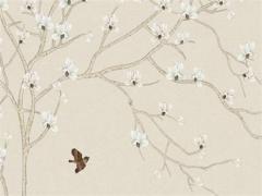 2011年屬蛇的運程 2011年蛇女運勢