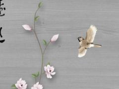 2月份的兔本命年適合創(chuàng)業(yè)嗎,2月屬兔