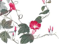 屬鼠不宜和什么屬相過日子 屬鼠的不宜和什么屬相結(jié)合