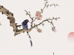 屬兔本命年結婚會離婚嗎男,屬兔本命年結婚有什么說法