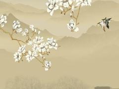 2025年陽歷五月最佳日子選擇