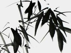 2025年5月適宜日程安排的吉日