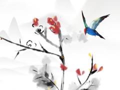 2025年五月適合的吉日 哪日有利于健康與出行