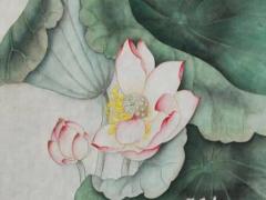 馬化龍算命什么意思 馬化龍的歷史