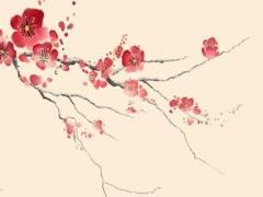 2025年5月最佳吉利日選擇 哪日最好