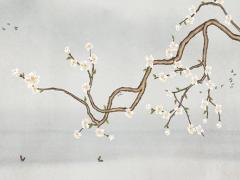 2025年最佳吉日 2025年五月適合男人的日子