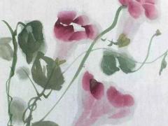 身弱的戊土人結婚身就強了,身弱戊土日化解