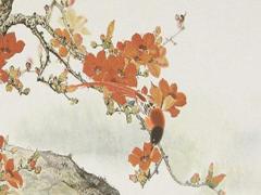 2025年五月最佳出生吉日 哪日最適合