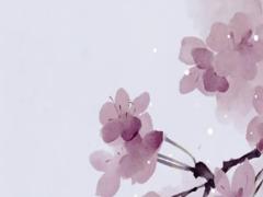 2025年女孩子適宜的吉利日 2025年5月哪天好