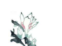 2025年滿月酒的最佳吉日查詢 哪日適合