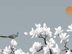 屬兔九月份的幸運色是,屬兔九月份的人是什么命運