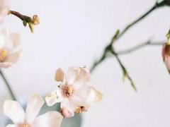 2025年五月定親吉利日子測算 哪天適合