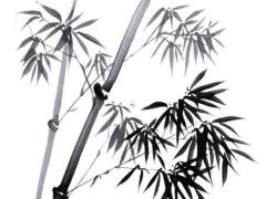 本命年兔幾月結婚好,屬兔本命年結婚有什么說法