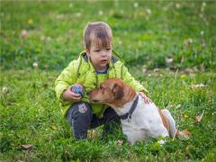 突然夢見去世很久的外公