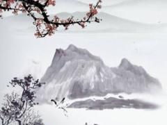 86年屬什么的生肖,86年屬什么的生肖什么命