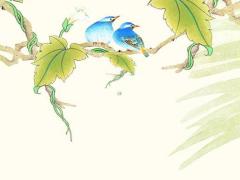 八字五行連續(xù)循環(huán)相生 八字循環(huán)相生命格人多不多