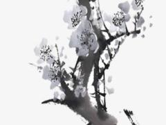 生男孩和生女孩各有什么癥狀 生男孩生女孩的區別有哪些