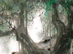 2004年屬狗人的命運,2004年屬狗的是什么命運